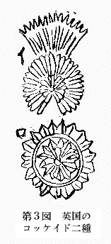 「第３図　英国のコッケイド二種」のキャプション付きの図